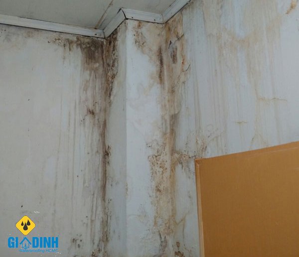 báo giá chống thấm tường